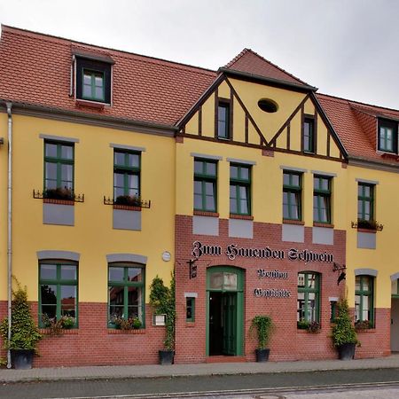 Gasthaus Und Pension "Zum Hauenden Schwein" Wörlitz Εξωτερικό φωτογραφία