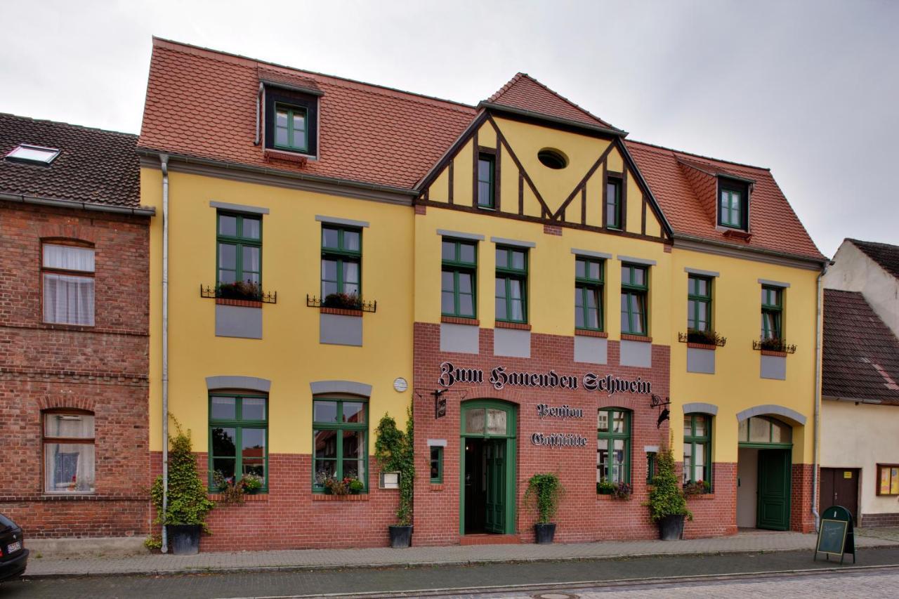 Gasthaus Und Pension "Zum Hauenden Schwein" Wörlitz Εξωτερικό φωτογραφία